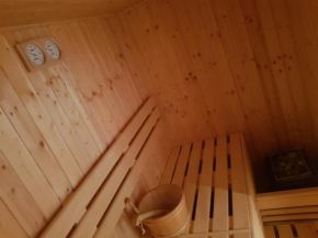 Отель Apartment Mountain, Брашов